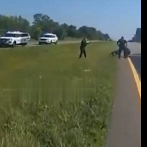 (Vídeo) Hombre es atacado por perro policía
